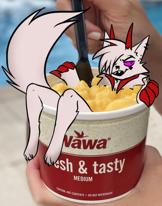 Wawa Mac and Cheese